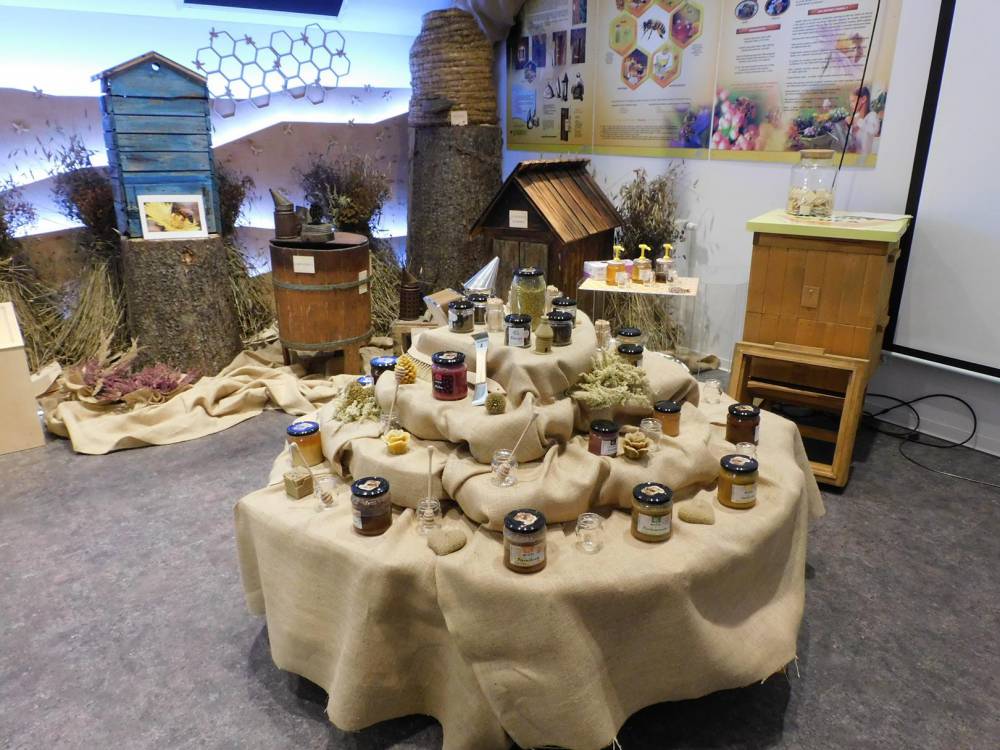 Centrum Edukacji Ekologicznej w Wiśle