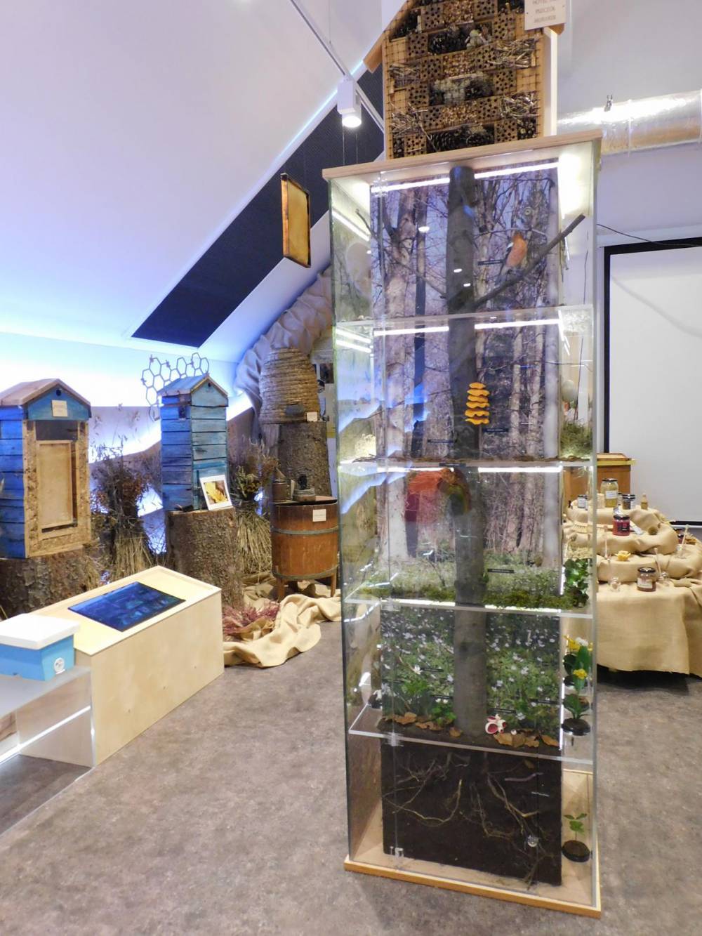 Centrum Edukacji Ekologicznej w Wiśle